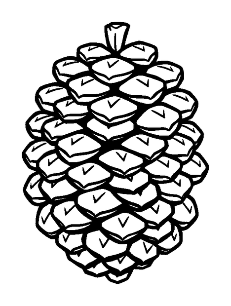 Pine Cone colouring page — free printable for kids