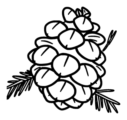 Pine Cone Colouring Page (Toddler, Bold & Easy)