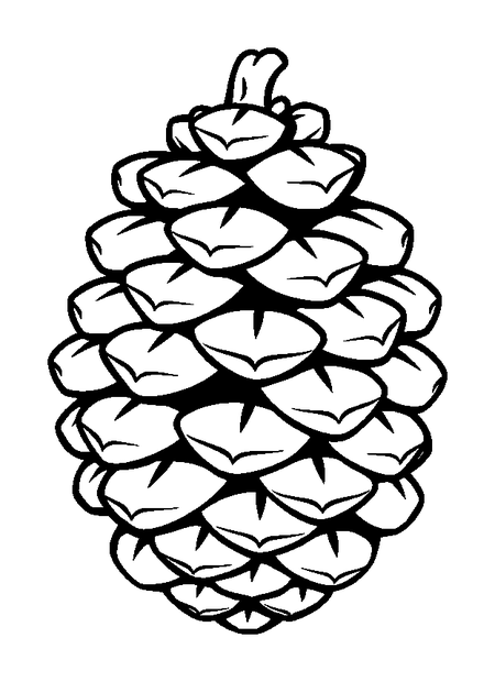 Pinecone colouring page — free printable for kids