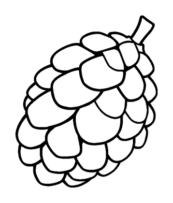 Pinecone Colouring Page (Kids, Standard)