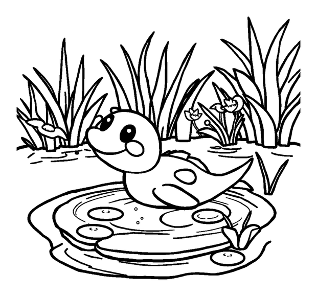 Pond colouring page — free printable for kids