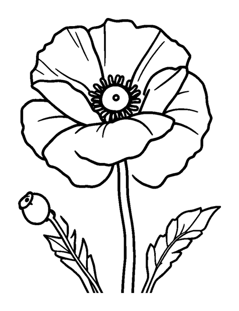 Poppy colouring page — free printable for toddlers