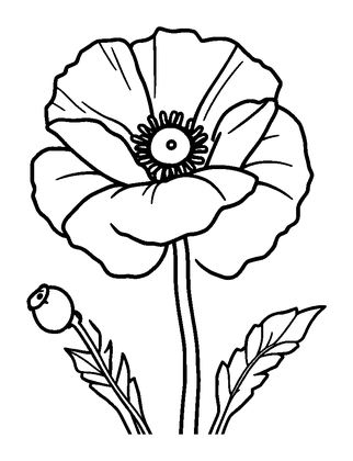 Poppy Colouring Page (Toddler, Bold & Easy)
