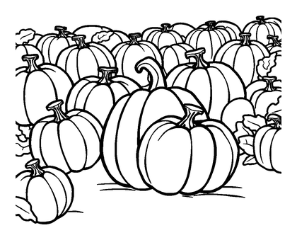 Pumpkin Patch Colouring Page (Kids, Standard)