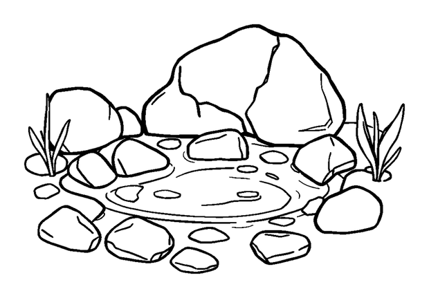 Rock Pool colouring page — free printable for kids
