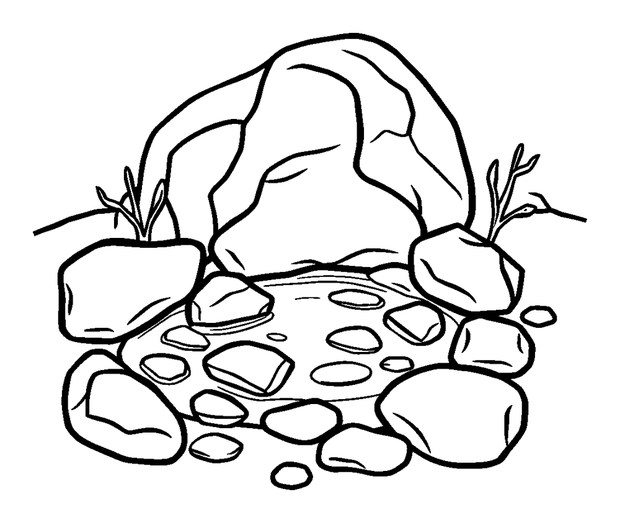 Rock Pool colouring page — free printable for kids