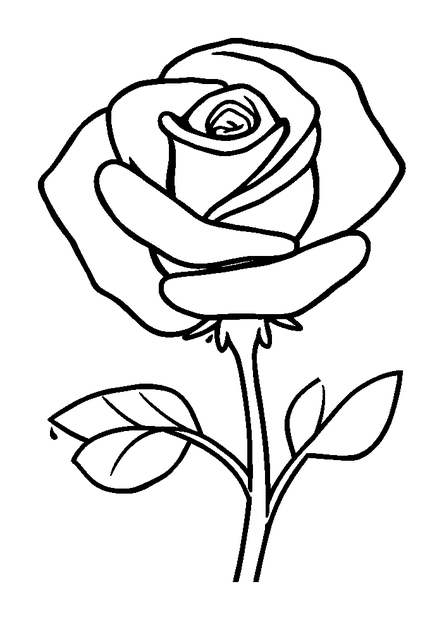 Rose colouring page — free printable for kids