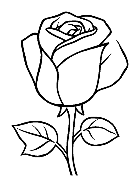 Rose colouring page — free printable for kids