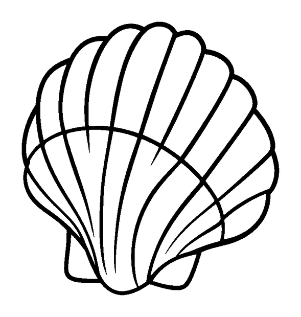 Seashell colouring page — free printable for kids