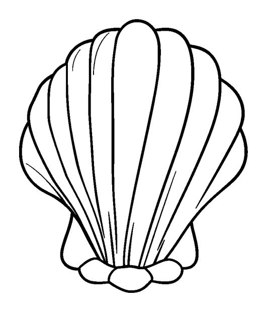Seashell colouring page — free printable for toddlers