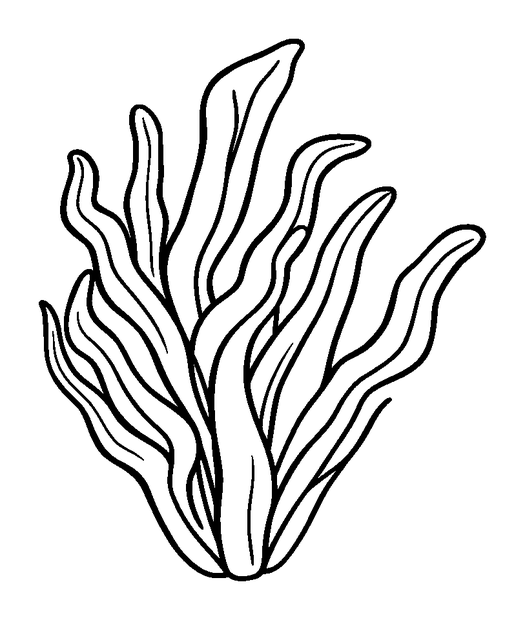 Seaweed Frond colouring page — free printable for kids