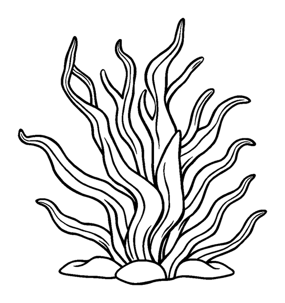 Seaweed Frond colouring page — free printable for toddlers