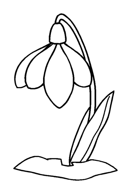 Snowdrop colouring page — free printable for kids