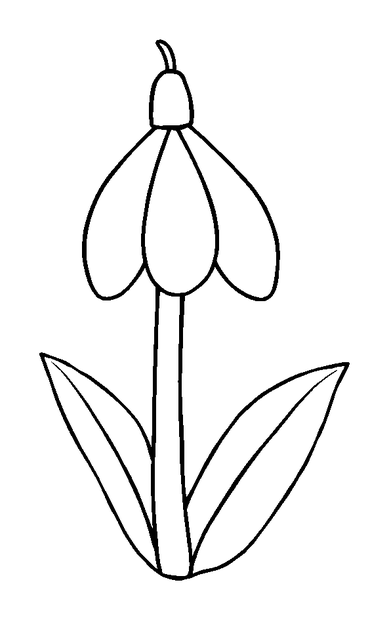Snowdrop colouring page — free printable for kids