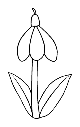 Snowdrop Colouring Page (Kids, Standard)