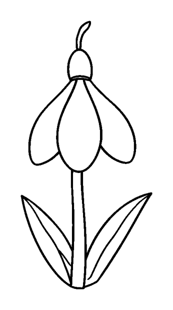 Snowdrop colouring page — free printable for toddlers