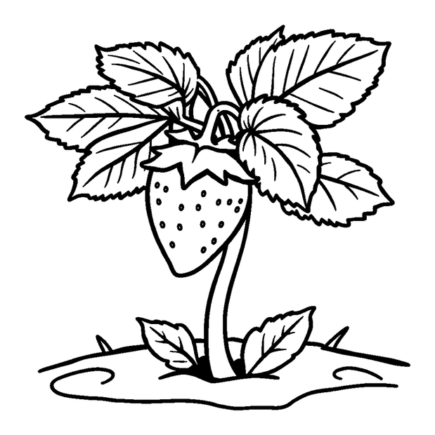 Strawberry Plant colouring page — free printable for kids