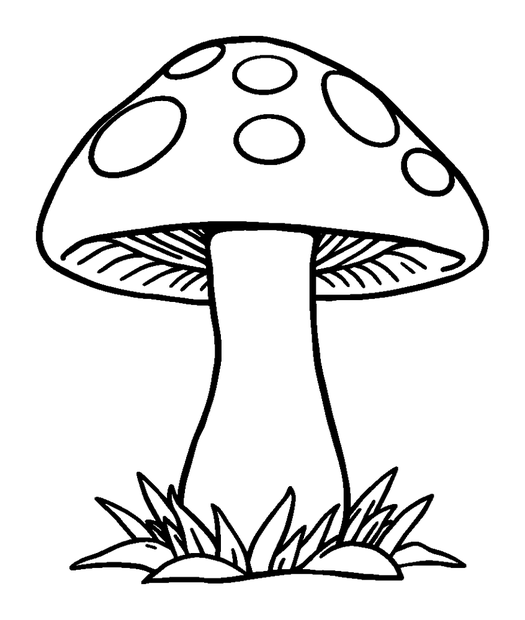 Toadstool colouring page — free printable for toddlers