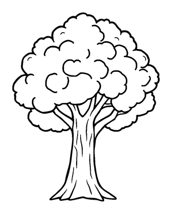 Tree Colouring Page (Kids, Bold & Easy)