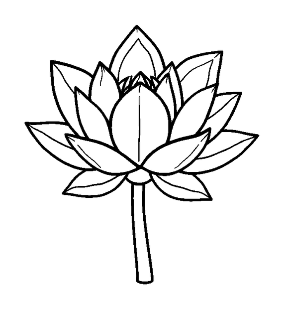 Water Lily colouring page — free printable for kids