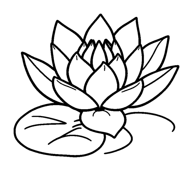 Water Lily colouring page — free printable for kids