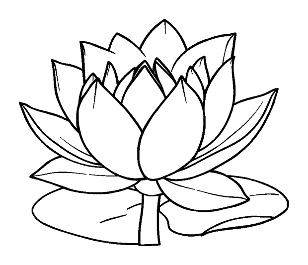 Water Lily colouring page — free printable for toddlers