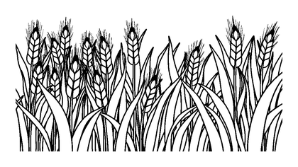 Wheat Field Colouring Page (Kids, Bold & Easy)