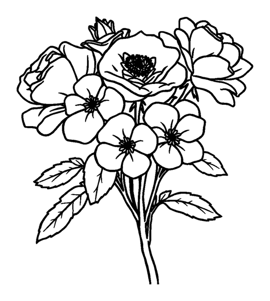 Wild Roses colouring page — free printable for kids