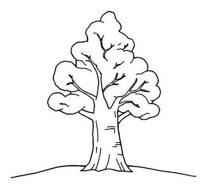 Winter Tree Colouring Page (Toddler, Bold & Easy)