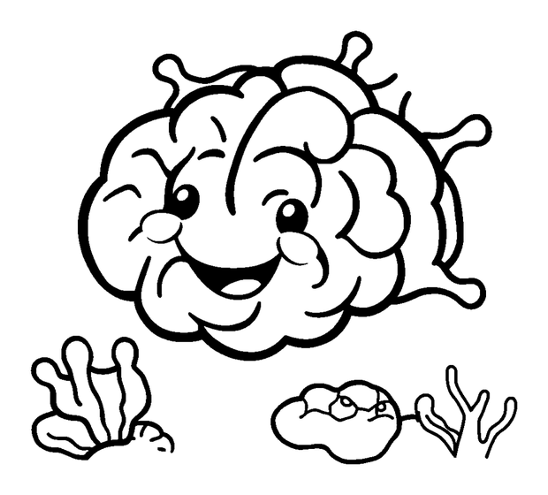 Brain Coral colouring page — free printable for toddlers