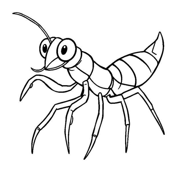 Mantis Shrimp colouring page — free printable for toddlers