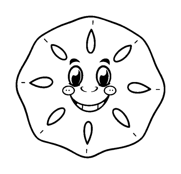 Sand Dollar colouring page — free printable for kids