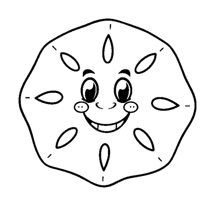 Sand Dollar Colouring Page (Kids, Bold & Easy)