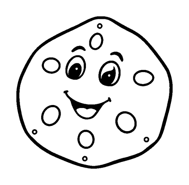 Sand Dollar colouring page — free printable for kids