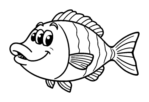 Sea Bass colouring page — free printable for kids