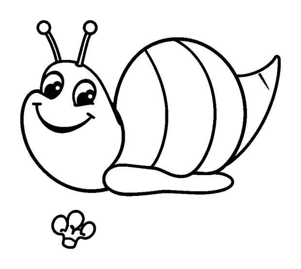 Sea Snail colouring page — free printable for kids