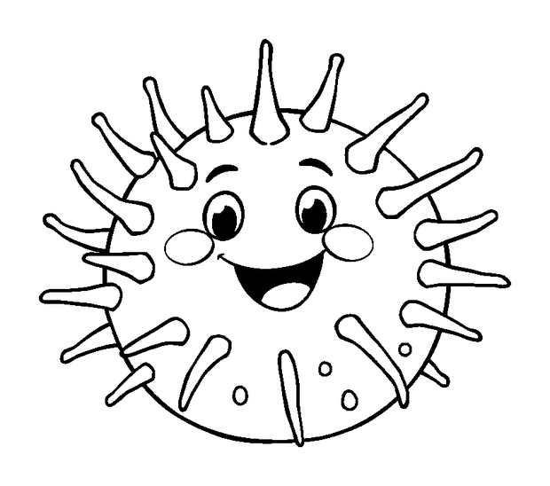 Sea Urchin Spiky colouring page — free printable for toddlers