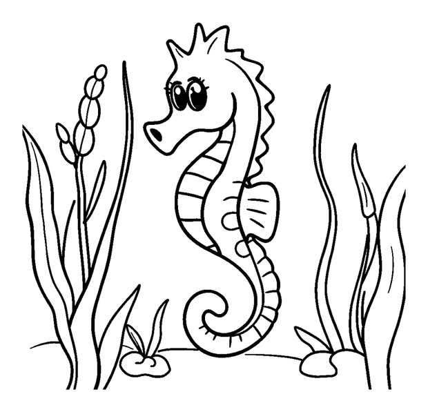 Seahorse Seagrass colouring page — free printable for kids