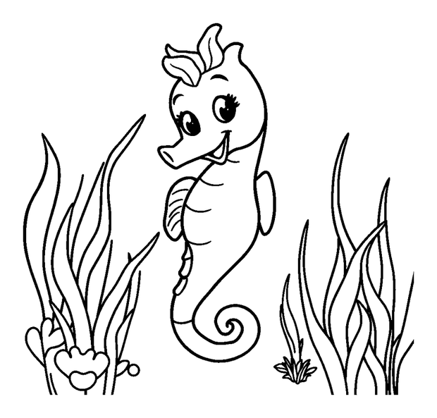 Seahorse Seagrass colouring page — free printable for kids