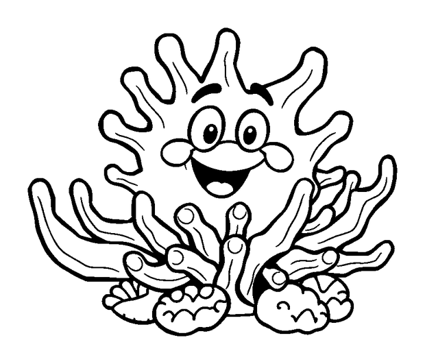 Staghorn Coral colouring page — free printable for kids