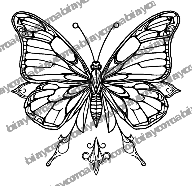 Butterfly Wing colouring page — free printable for adults