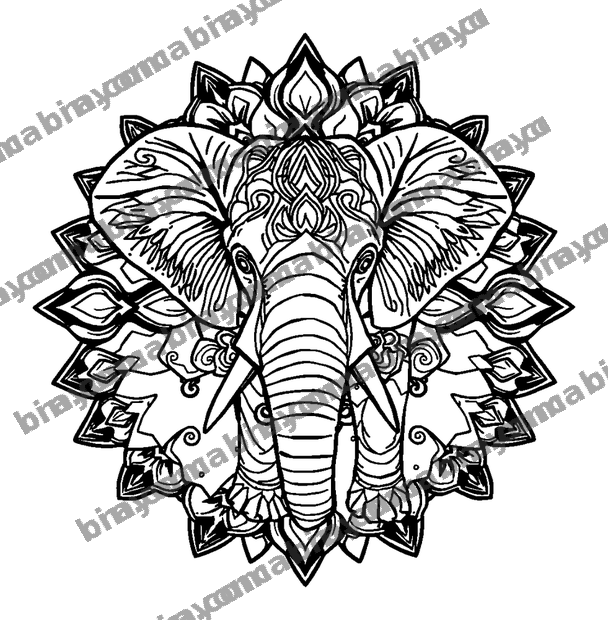 Elephant Mandala colouring page — free printable for adults