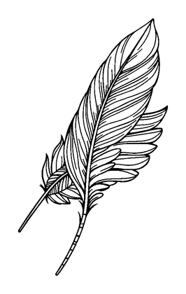 Feather Pattern Colouring Page (Teens, Standard)