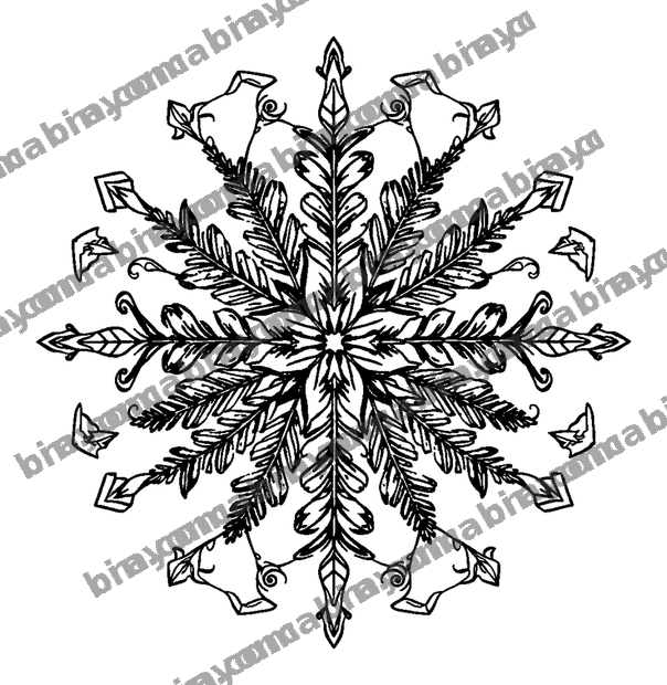 Frost Fern colouring page — free printable for adults