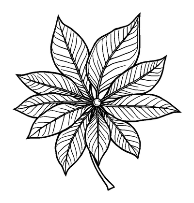 Leaf Pattern Colouring Page (Adults, Intricate)