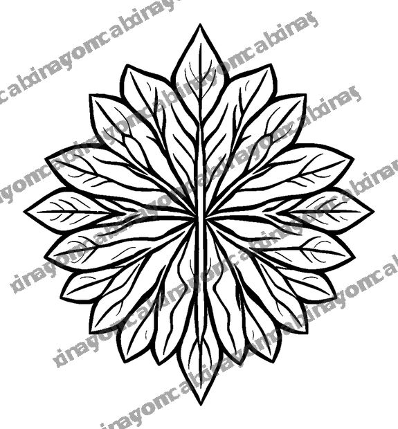 Leaf Vein colouring page — free printable for kids