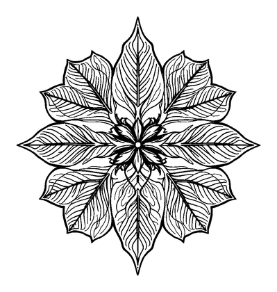 Leaf Vein Colouring Page (Teens, Intricate)