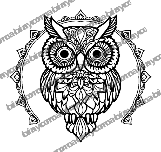 Owl Mandala colouring page — free printable for teens