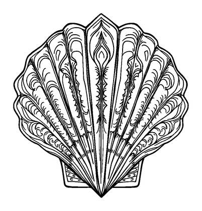 Seashell Pattern Colouring Page (Adults, Standard)