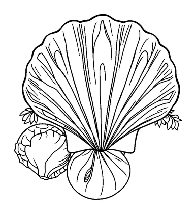 Seashell Pattern Colouring Page (Teens, Standard)